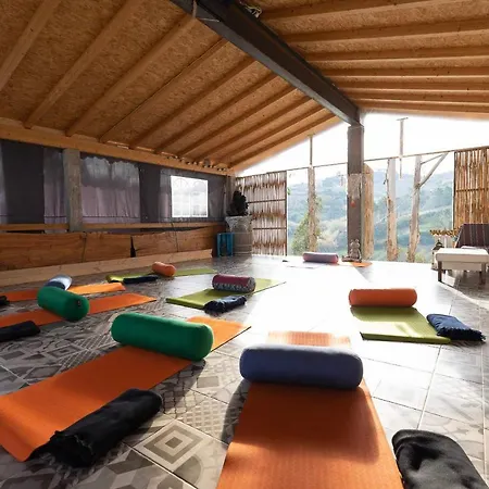 Quinta Da Vida Serena Gaio